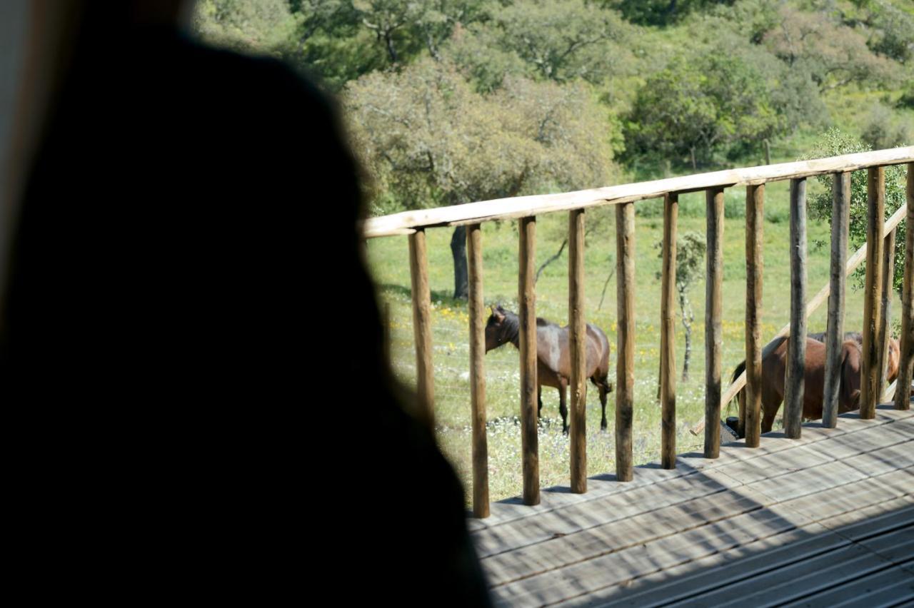 Monte Gois Country House E Spa Curvatos Exterior foto